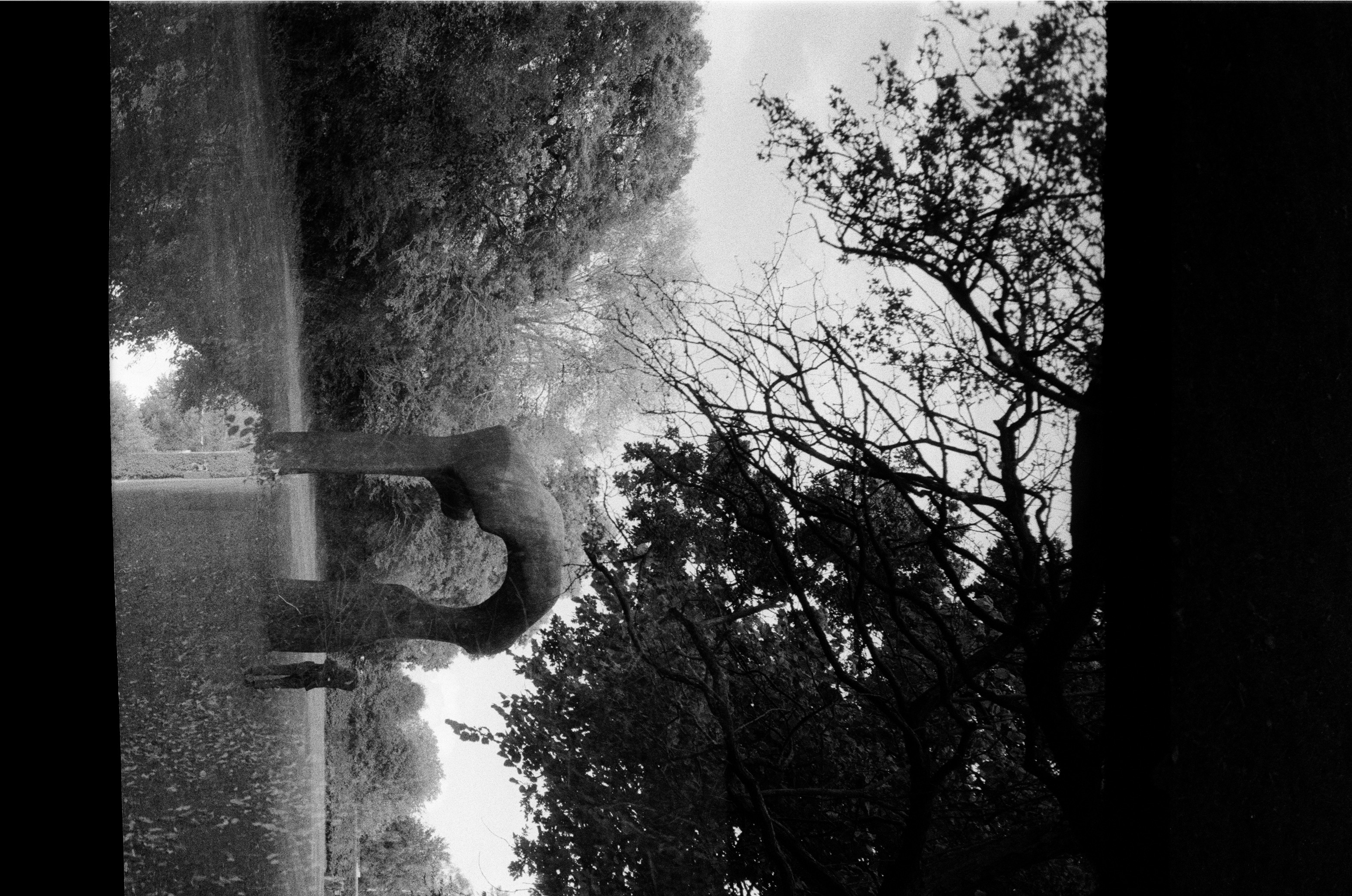 Film photograph by Linsey Rendell