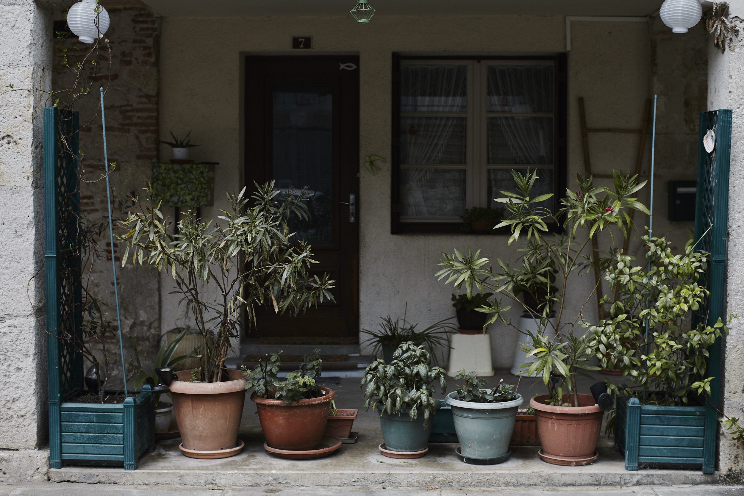Front Yard, Sérignac-sur-Garonne